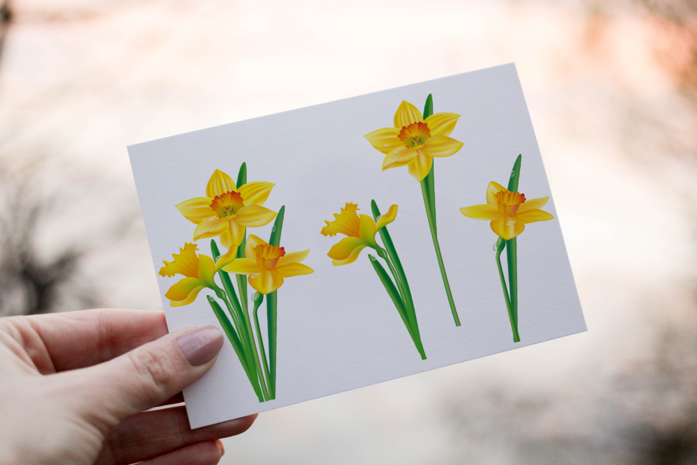 Daffodil Birthday Card, Flower Birthday Card, Daffodil Card - Click Image to Close